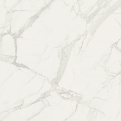 Płytki Fioranese Marmorea Bianco Statuario 74x74 Lev.Rett.Gat.1