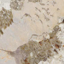 Płytki ABK Sensi Nuance Patagonia Wow 120x120 Lux 3D Gat.1