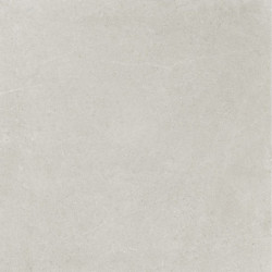 Płytki Ricchetti Ease/22 Light Grey 120x120 Nat.Gat.1