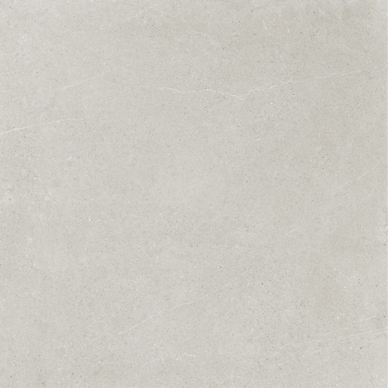 Płytki Ricchetti Ease/22 Light Grey 120x120 Nat.Gat.1