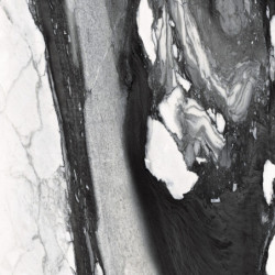 Płytki Emil Ceramica Tele di Marmo Catalatta Renoir 90x90 Naturale Rett.Gat.1