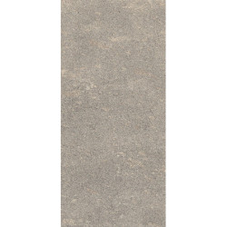 Płytki Coem Wide Gres 260 Porfirica Grey 120x120 Naturale Ret.Gat.1